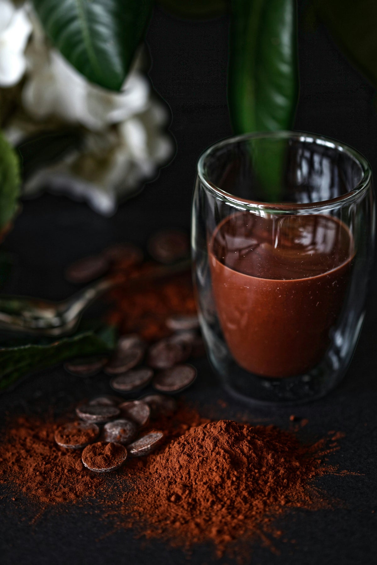 10 Best Cacao Smoothie Brands in 2026 (Compared)